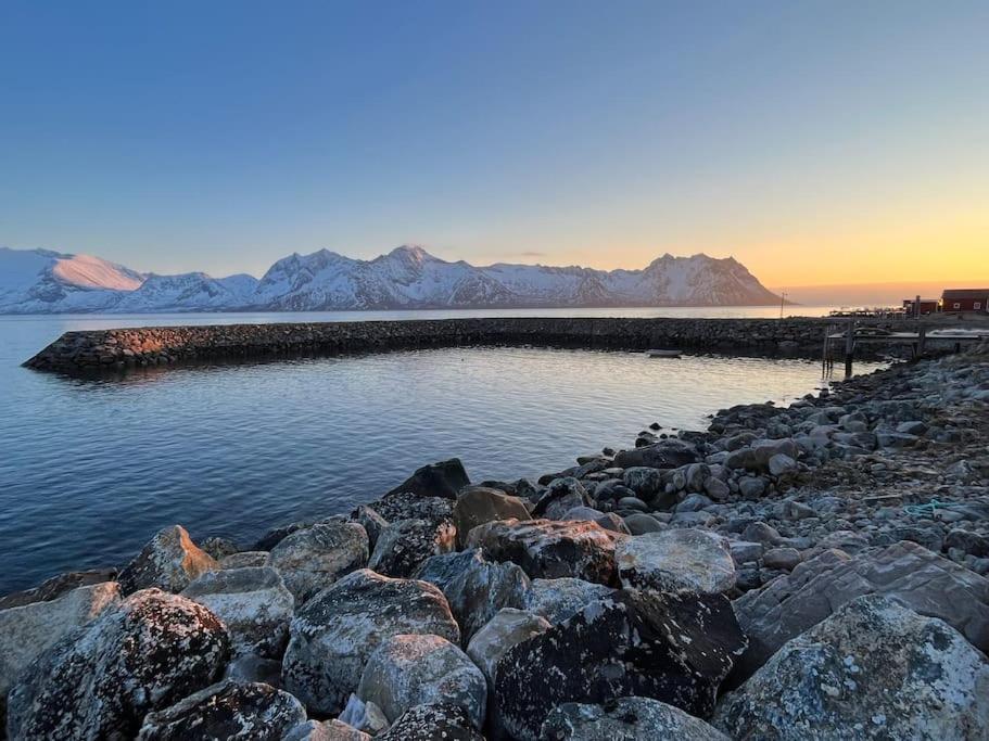 Leilighet I Rorbu Pa Kaldfarnes - Yttersia Senja 外观 照片