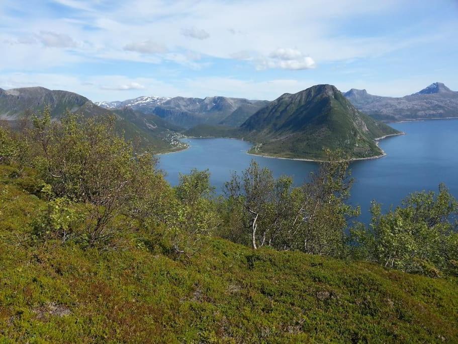 Leilighet I Rorbu Pa Kaldfarnes - Yttersia Senja 外观 照片